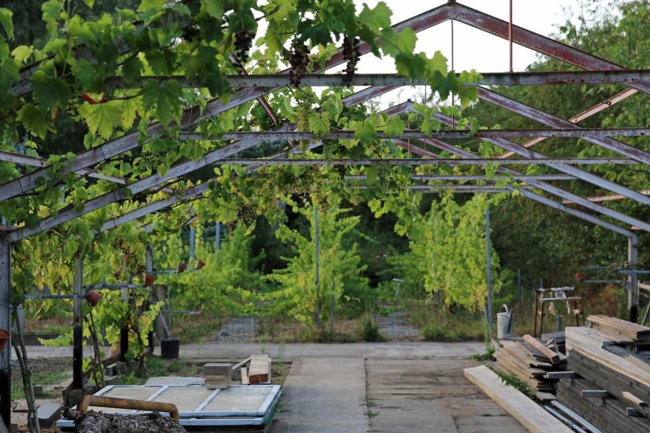 Natuurlijk Genieten Bemmel Extérieur photo